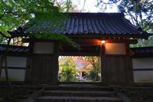 中尊寺紅葉撮影