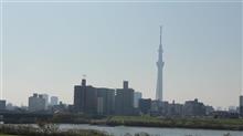 朝方はぽかぽか陽気・・・・