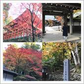 紅葉ドライブデート🍁❤️