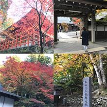 紅葉ドライブデート🍁❤️