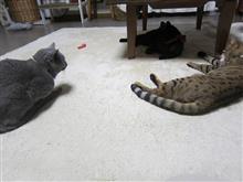 しばらくコメント機能オフします(＞人＜;)