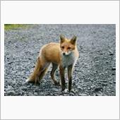 昨日、イイネしてくださった方 ...