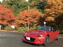紅葉を求めて! 紅葉を求めて!