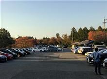 紅葉を探しに吉野山へ