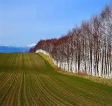 酷道マニア? 酷道マニア?