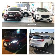 あっという間の2ヶ月半