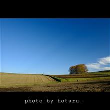Photo drive ~秋晴れに誘われてカラマツの丘へ~ Photo drive ~秋晴れに誘われてカラマツの丘へ~