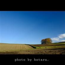 Photo drive ～秋晴れに誘われてカラマツの丘へ～