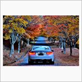 もみじ湖・八ヶ岳・瑞垣へ紅葉 ...