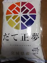 新ブランド