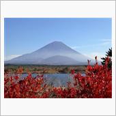 富士山すそ野ぐるり一周ウォー ...