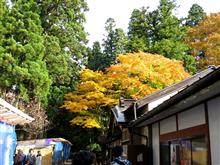 ２泊３日東北巡り家族旅行 Part-4 岩手平泉～田沢湖編