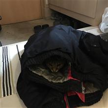 いや〜♪ちょ〜かわいっ♪