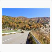 長野県道212号杉島市野瀬線 ...