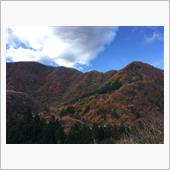 紅葉狩ってる。