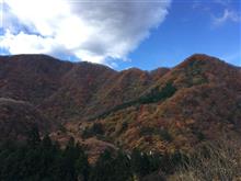 紅葉狩ってる。