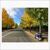 銀杏並木とRGV-Γ250SP