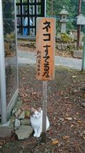 地域交流(^^)/
