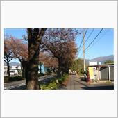 うちの周りも色付いて来ました