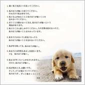 セ○ンイレ○ンの駐車場で必死 ...