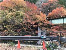 ロードバイクで花背峠を征す。