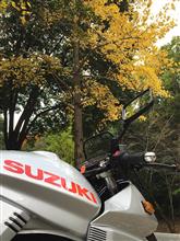 そうだ!バイクでうどん食べに行こ そうだ!バイクでうどん食べに行こ