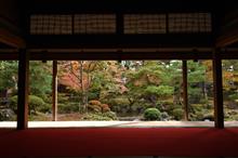北方文化博物館の庭園