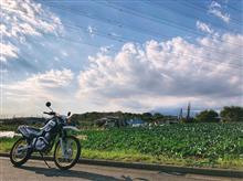 セロー250納車記録 セロー250納車記録