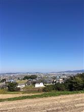 今日の松山は暖かかったです
