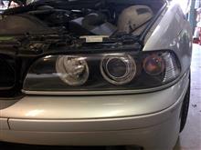 E39の眼球移植 E39の眼球移植