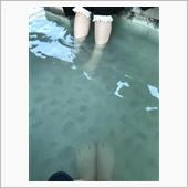 かみさんと奥日光のあんよの湯 ...