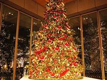 クリスマスの気配が近づいてきた クリスマスの気配が近づいてきた