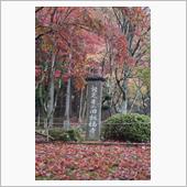 鶏足寺へ