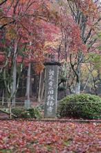 鶏足寺へ