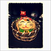 猫にこんばんは、