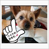 とうとう今年もラスツー～・・ ...