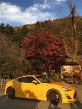 紅葉とおそば! 紅葉とおそば!