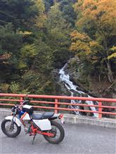 冬が来る前に