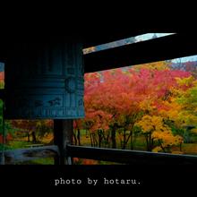 Photo drive ~秋雨に濡れる小京都を切り取る~ Photo drive ~秋雨に濡れる小京都を切り取る~