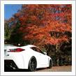 紅葉狩りに行って来ました