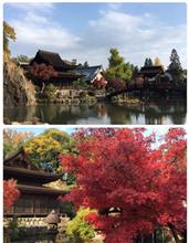 今月のぼっちTRG〜紅葉とお買い物(o^^o) 今月のぼっちTRG〜紅葉とお買い物(o^^o)