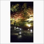 岩屋堂紅葉ライトアップ