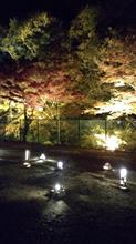 岩屋堂紅葉ライトアップ