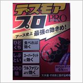 クマネズミ       ｺﾜ ...