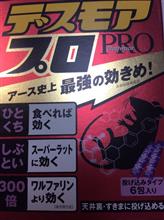 クマネズミ       ｺﾜｲｺﾜｲ(∩&#180;﹏`∩)