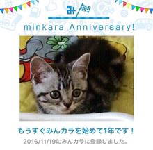 祝・みんカラ歴1年！