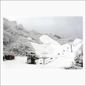 初冠雪