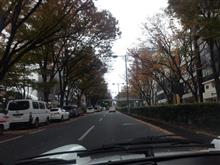はっぱふみふみ