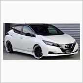 新型リーフのコンプリートカー