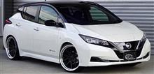 新型リーフのコンプリートカー